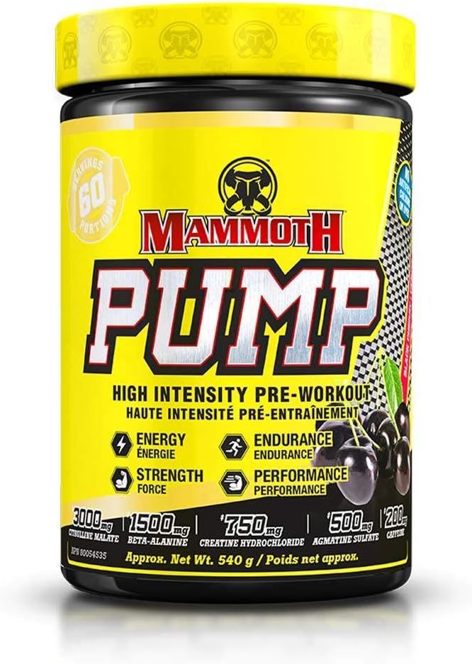 Mammoth Pump