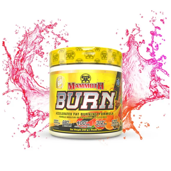 Mammoth Burn - Image 2