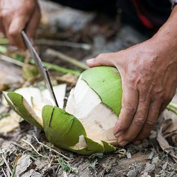 Coconut Water - Image 3